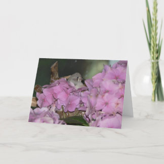 Baby Finch with Hydrangias Greeting Card