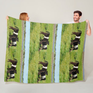 Baby Galloway Cows In The Country, Fleece Blanket