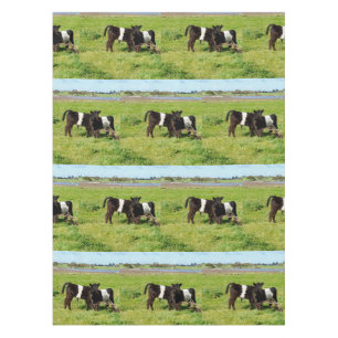 Baby Galloway Cows In The Country, Tablecloth