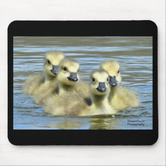 Baby Geese Mouse Pad