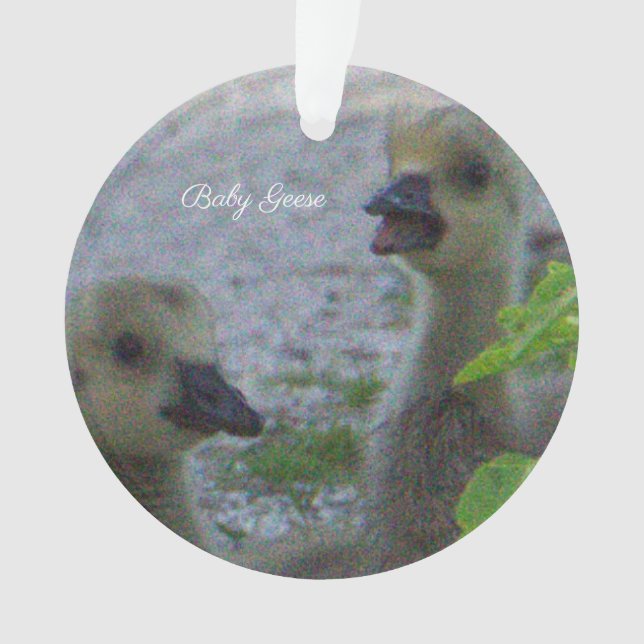Baby Geese Photo Ornament  (Front)
