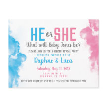 Baby Gender Reveal Smoke Bomb Blue and Pink Party
