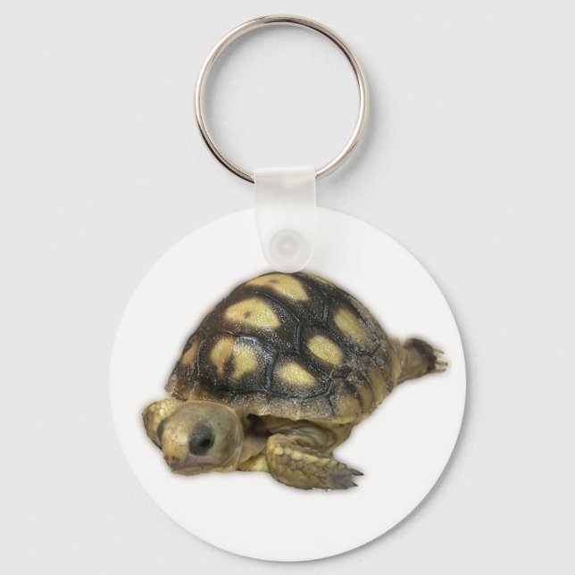 Baby Ghopher Tortoise Keychain (Front)