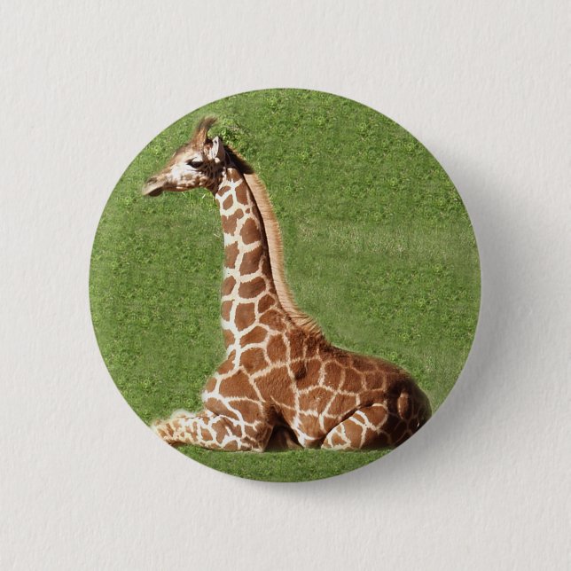Baby Giraffe 2 Inch Round Button (Front)