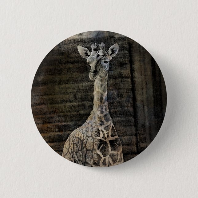 Baby Giraffe 2 Inch Round Button (Front)