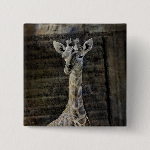 Baby Giraffe 2 Inch Square Button