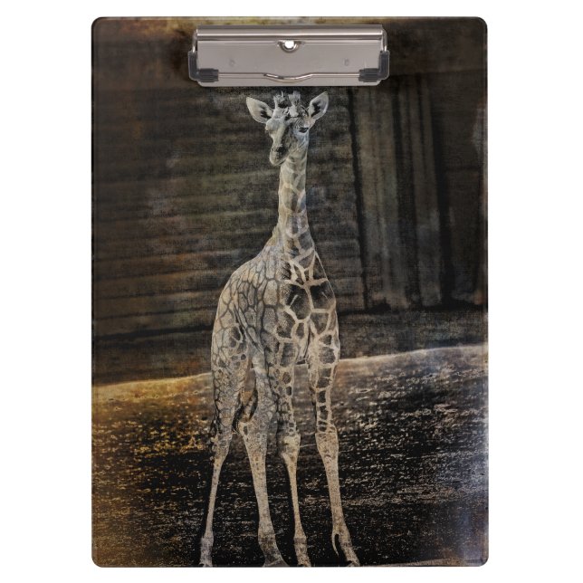Baby Giraffe Clipboard (Front)
