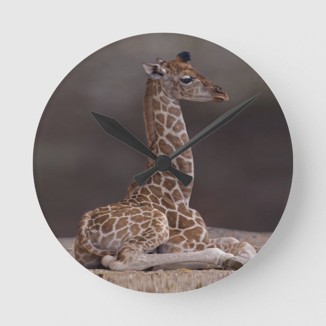 Baby Giraffe Clock (Front)