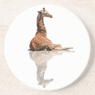 BABY GIRAFFE COASTER