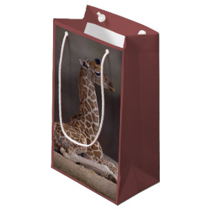 Baby Giraffe Gift Bag