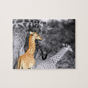 Baby Giraffe Jigsaw Puzzle