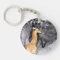 Baby Giraffe