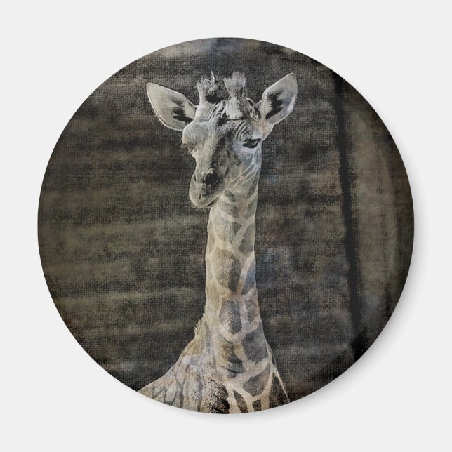 Baby Giraffe Magnet (Front)