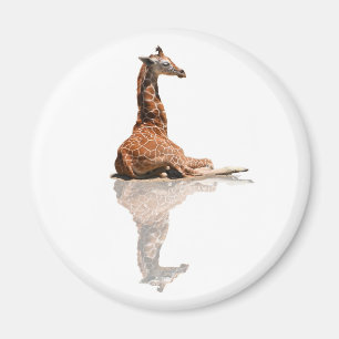 BABY GIRAFFE MAGNET