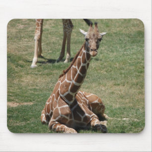Baby Giraffe Mouse Pad