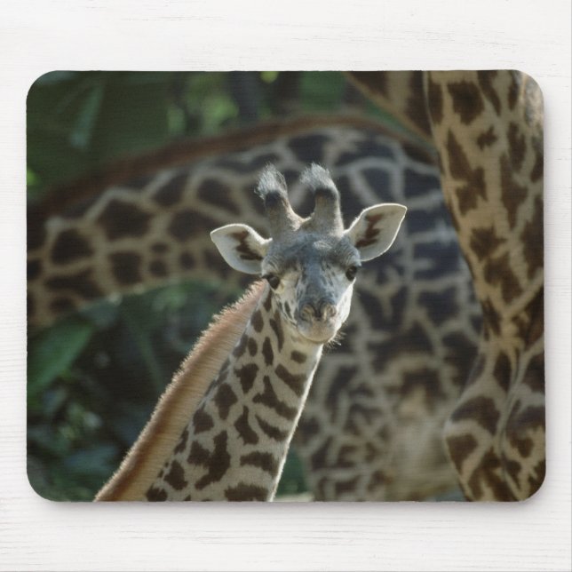 Baby Giraffe Mouse Pad (Front)