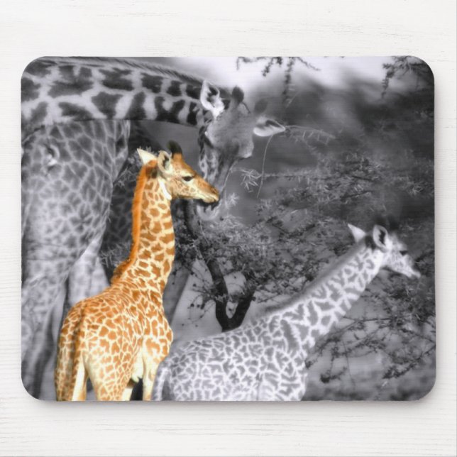 Baby Giraffe Mouse Pad (Front)