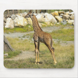 Baby Giraffe Mouse Pad