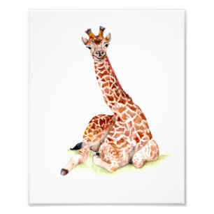 Baby Giraffe Photo Print