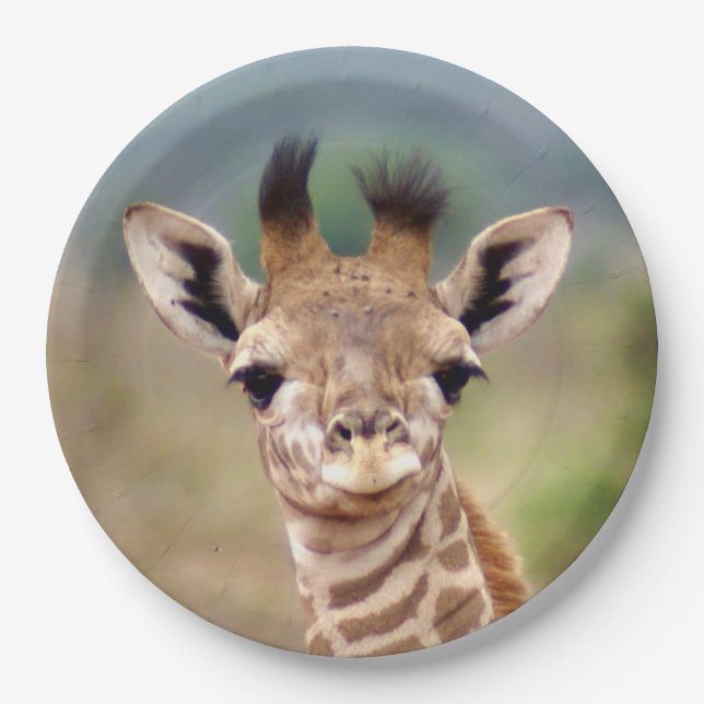 Baby giraffe picture, Kenya, Africa | 9" Paper Plate (Front)