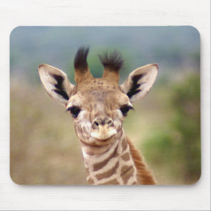 Baby giraffe picture, Kenya, Africa Mouse Pad