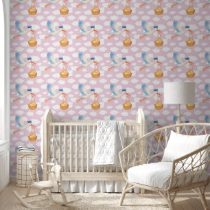 Baby Girl Arrival Nursery Decor  Wallpaper