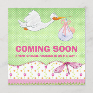 Baby Girl Bird Delivery Pregnancy Announcement