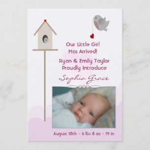Baby Girl Birdsnest Photo Birth Announcements