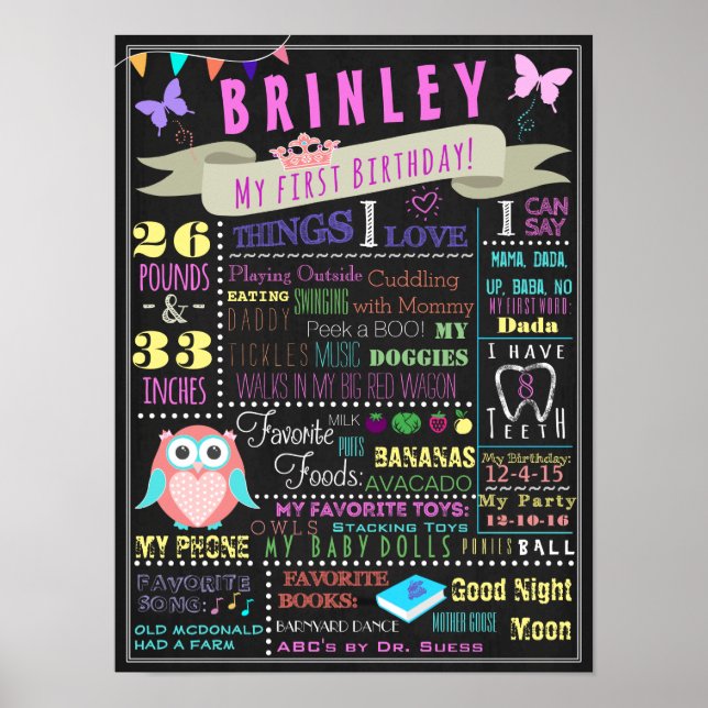 Baby Girl First Birthday Poster (Front)