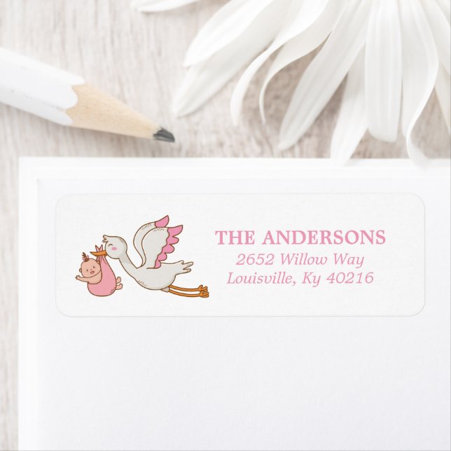 Baby Girl Flying Stories Pink Cute Baby shower (En situation)