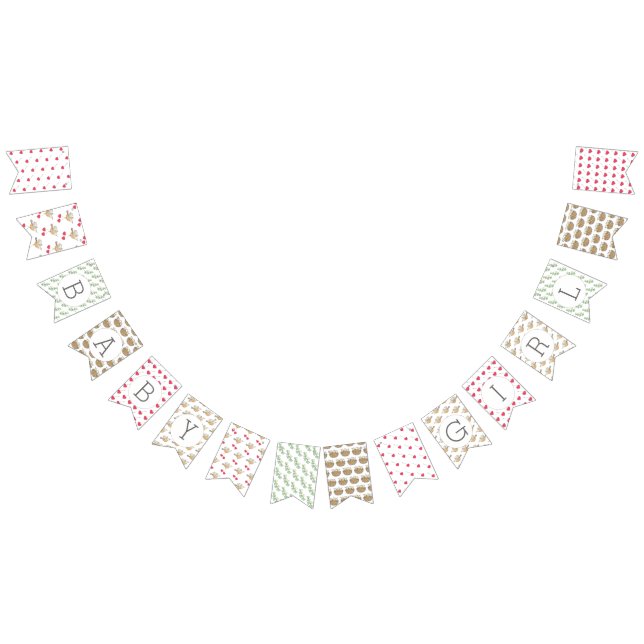 Baby Girl Illustrated Baby Shower Bunting Flags (All)