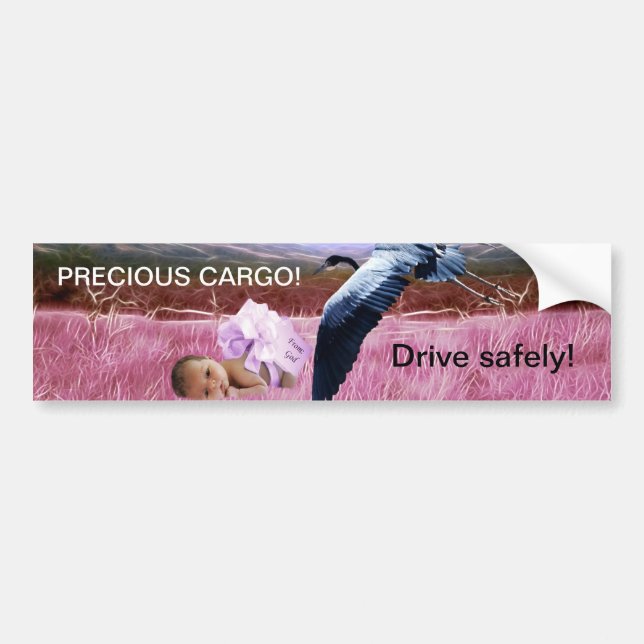 Baby Girl precious cargo Bumper Sticker (Front)