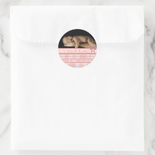Baby Girl Stickers with your baby photo