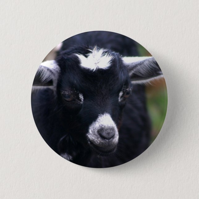 Baby Goat 2 Inch Round Button (Front)