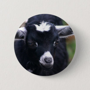 Baby Goat 2 Inch Round Button