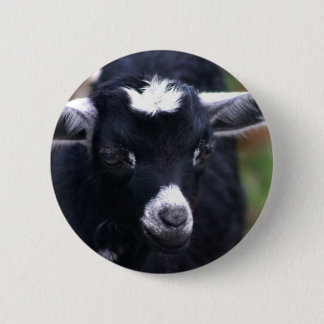 Baby Goat 2 Inch Round Button