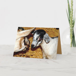 Baby Goat and Mom - Blank Greeting Card