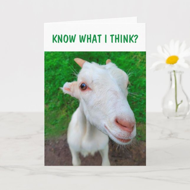 Baby Goat Cancer Encouragement Card (Small Plant)