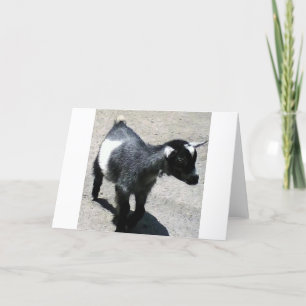 Baby Goat Card