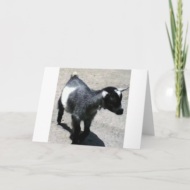 Baby Goat Card (Front)