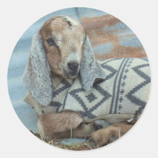Baby Goat in Sweater Stickers