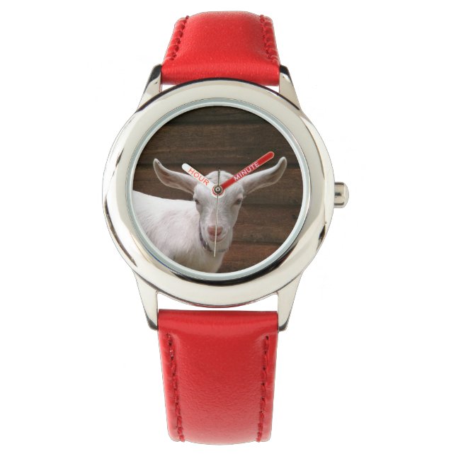 Baby Goat Kids Watch (Front)
