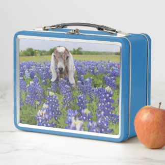 Baby Goat Lunchbox