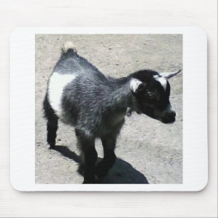 Baby Goat Mouse Pad