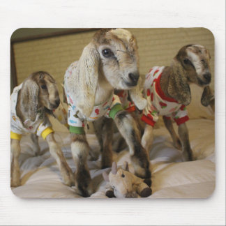 Baby Goat PJ Party Mousepad