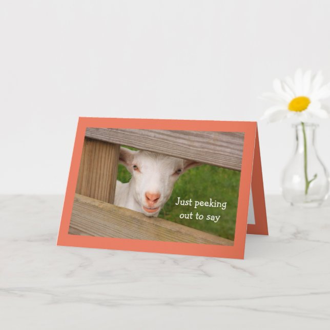 Baby Goat Poetry Birthday Card (Small Plant)