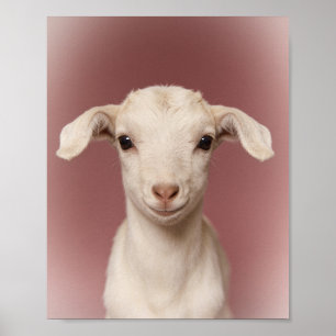 Baby Goat Portrait Cheerful Nursery Wall Art