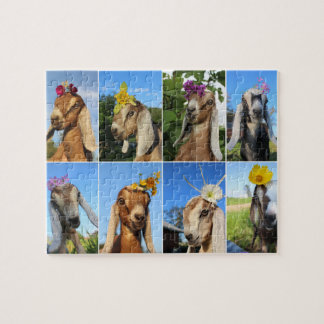 Baby Goat Puzzle