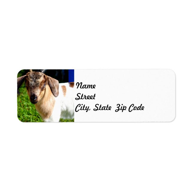 Baby Goat - Return Address Label (Front)