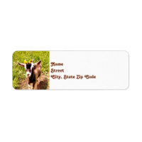 Baby Goat Return Address Labels